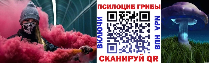 Псилоцибиновые грибы мицелий это состав Артёмовский